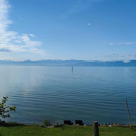 Birkhofer See Geniessen - Haus Seehang Immenstaad am Bodensee Extérieur photo
